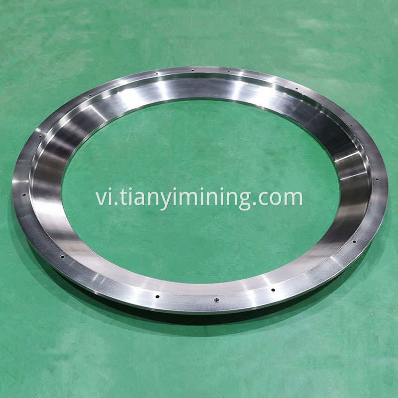 Bearing Ring 2 Jpg